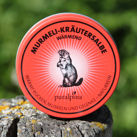 Murmeli-Kräutersalbe wärmend 100ml – Bild 2